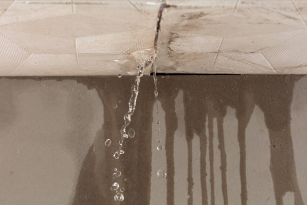 Professional Flood Damage Cleanup technician working in Honor, MI